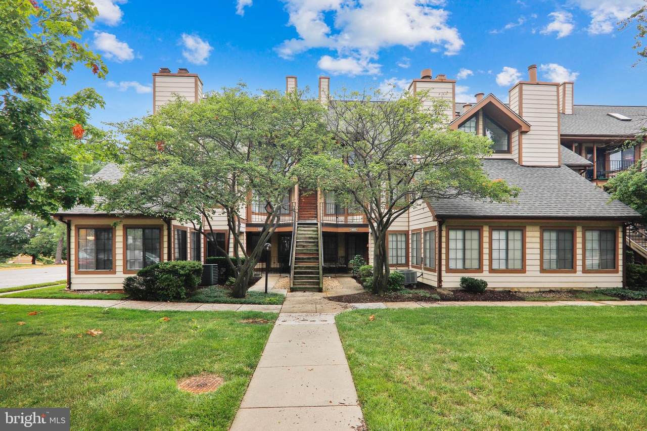 14113 William Street - Photo 1