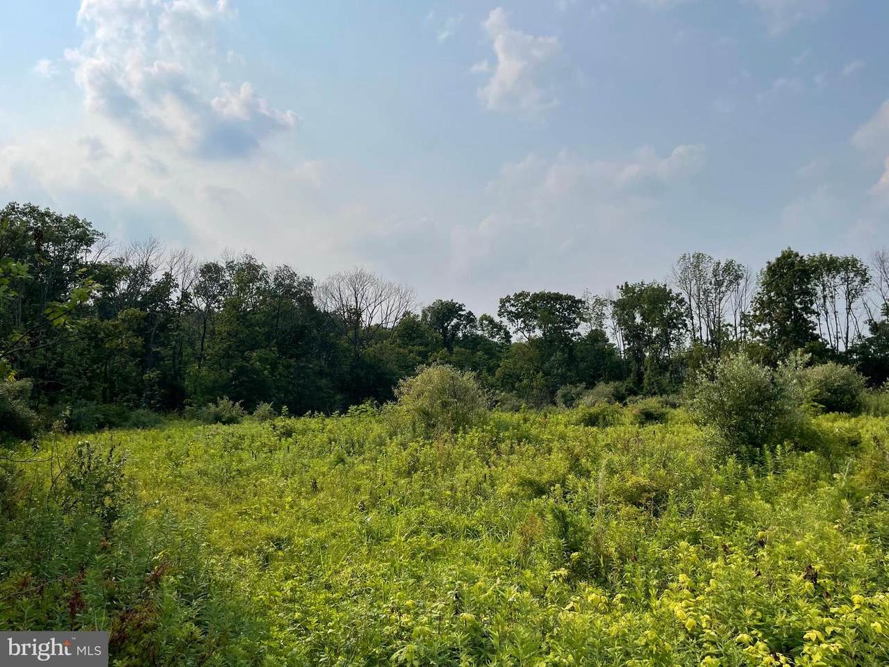 1484 Layfield Road - Photo 1