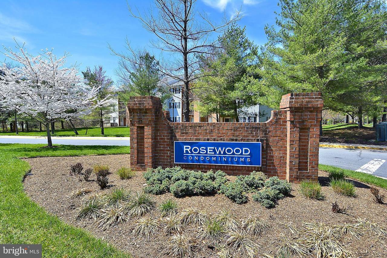 18316 Streamside Drive - Photo 1