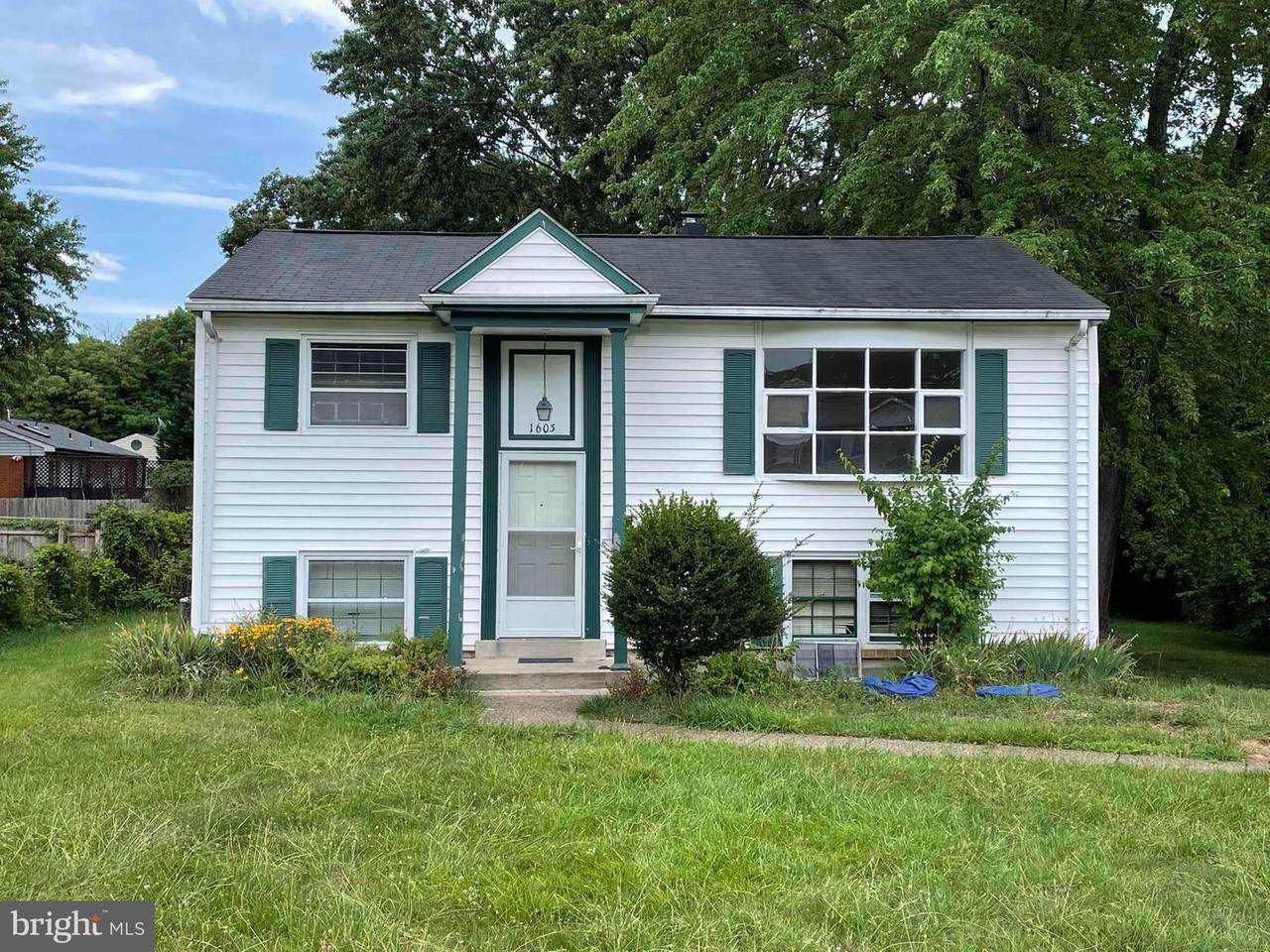1603 Indiana Avenue - Photo 1