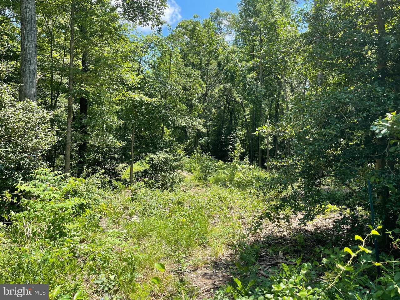 12645 Ponder Road - Photo 1