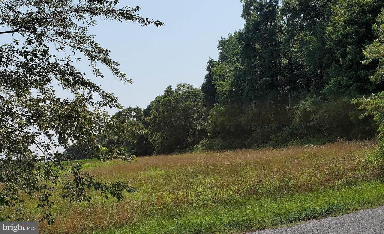 0 Johnson Road Aka Road 447 Lot 7 - Photo 1