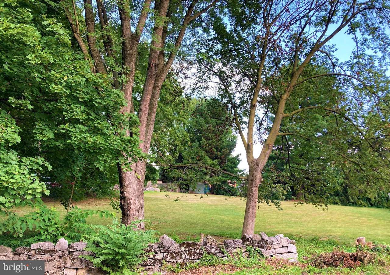 Potomac Street - Photo 1