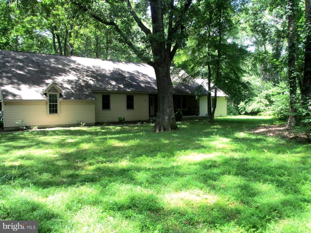 8656 Maryland Parkway - Photo 1