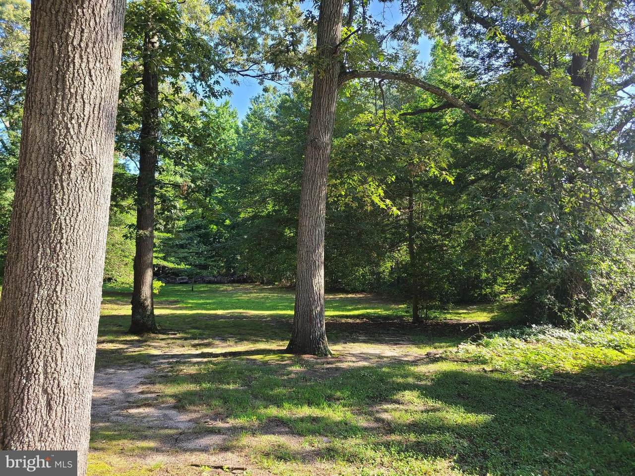 Cornfield Road - Photo 1