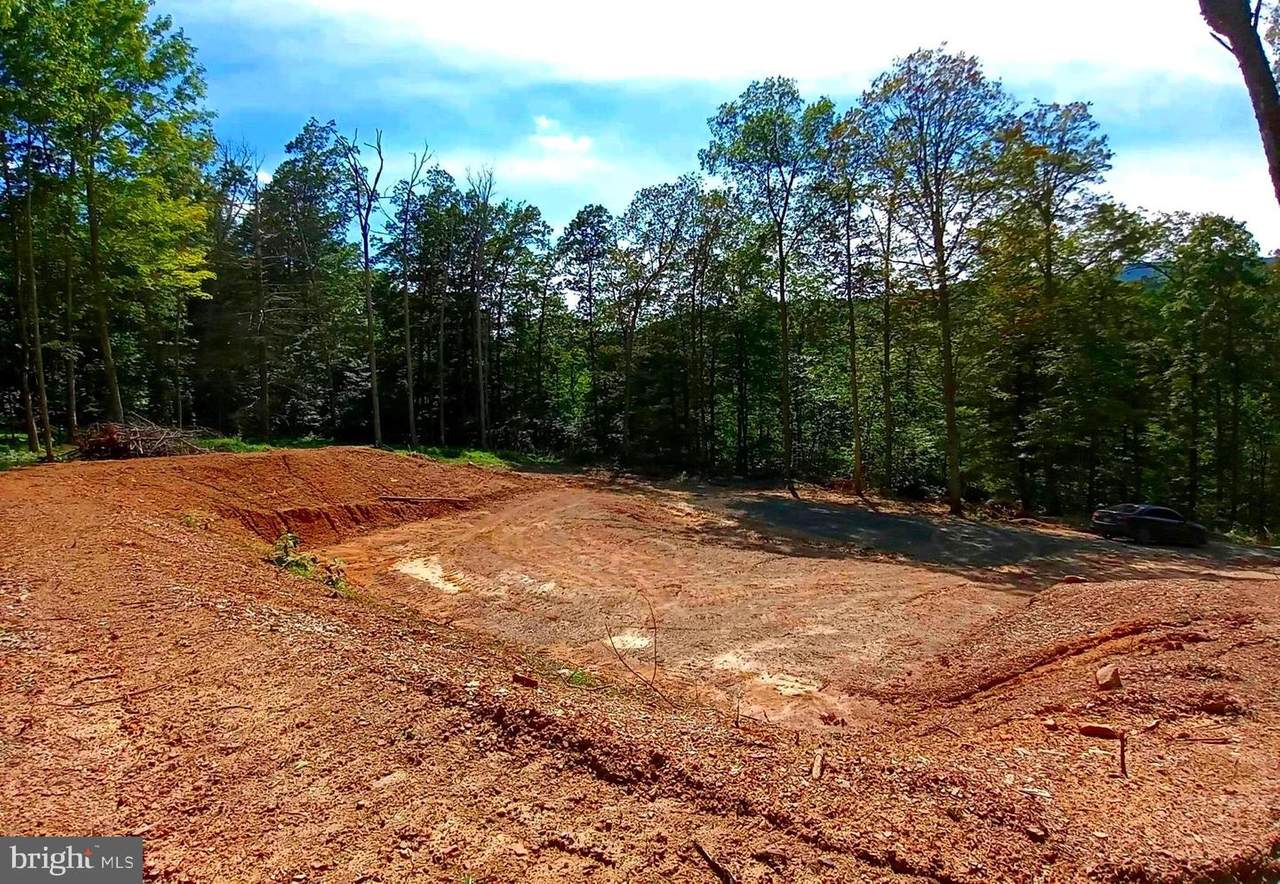 Rocky Pine Lane - Photo 1