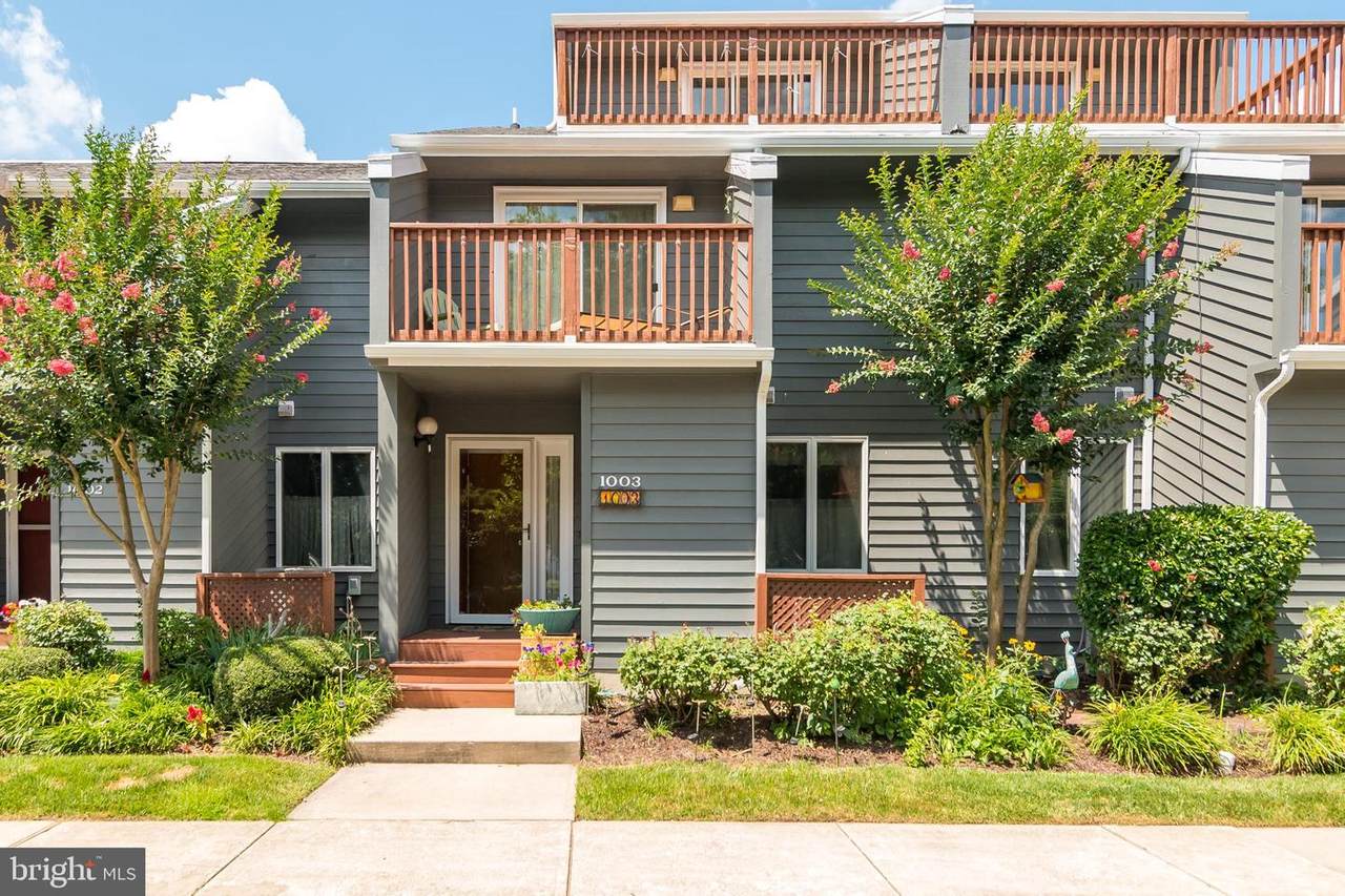 1000 Talon Drive - Photo 1