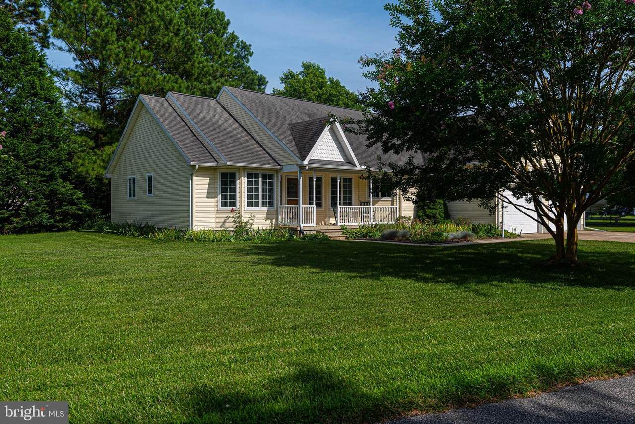 32813 Bauska Drive - Photo 1