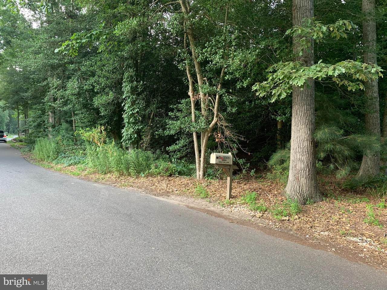 Holly Oak Road - Photo 1
