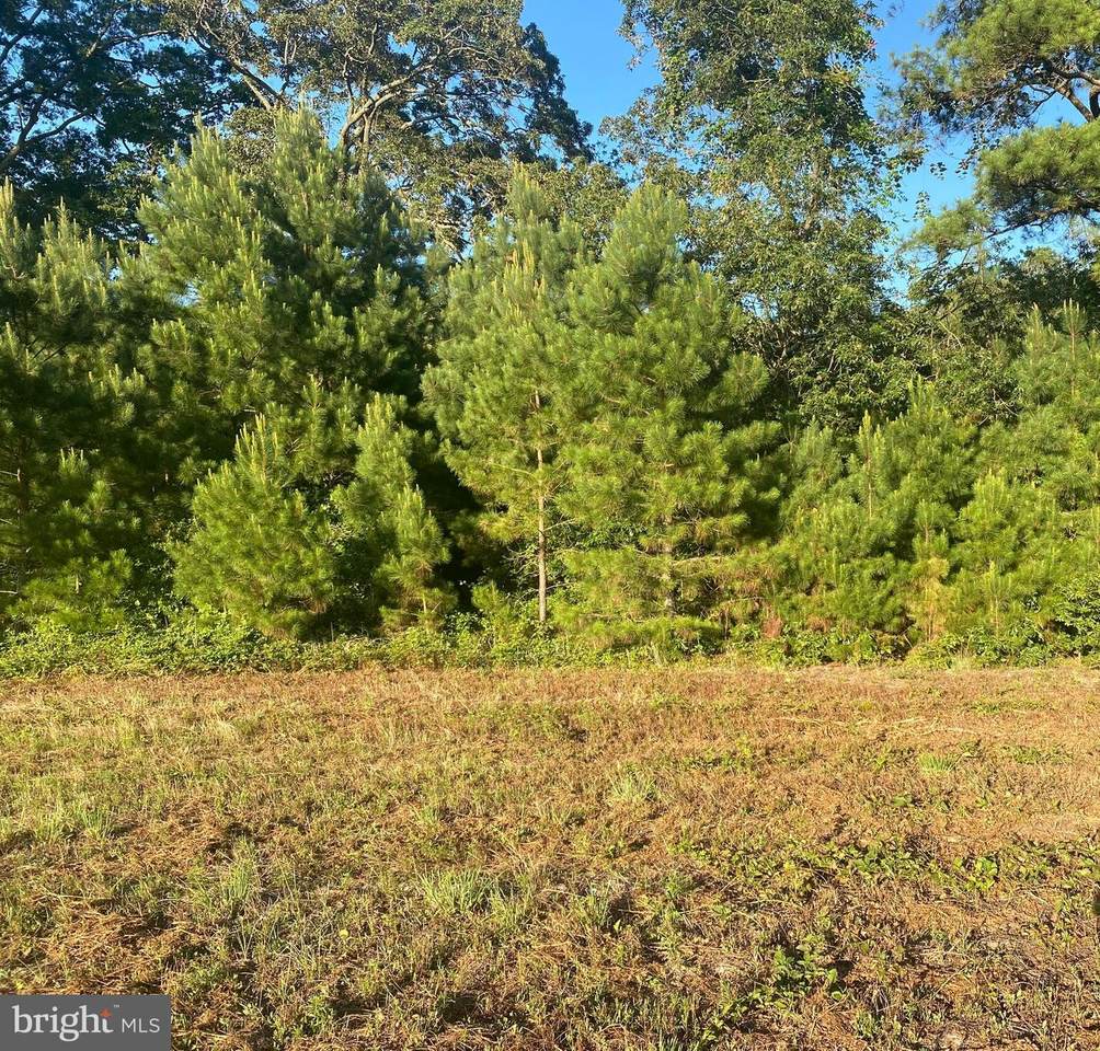 River View Road - Photo 1