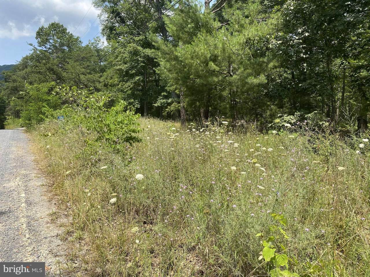 350 Forest Rd - Photo 1
