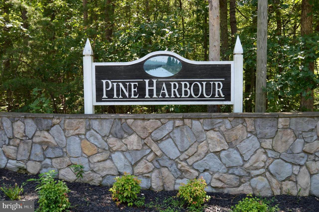 Pine Harbour Dr. Drive - Photo 1