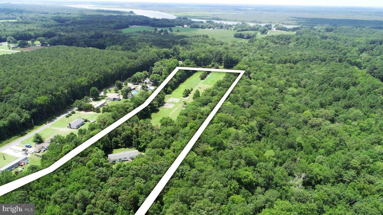 11365 Sharptown Road - Photo 1