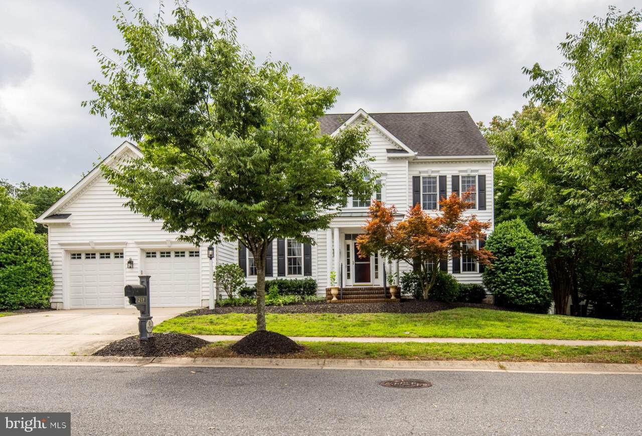 217 Heatherbloom Trail - Photo 1