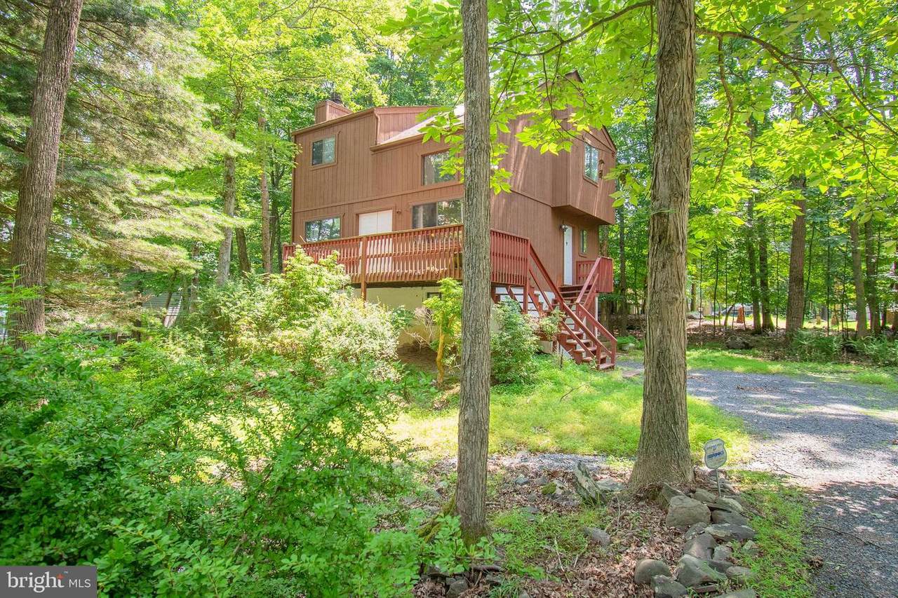 115 Sundew Drive - Photo 1
