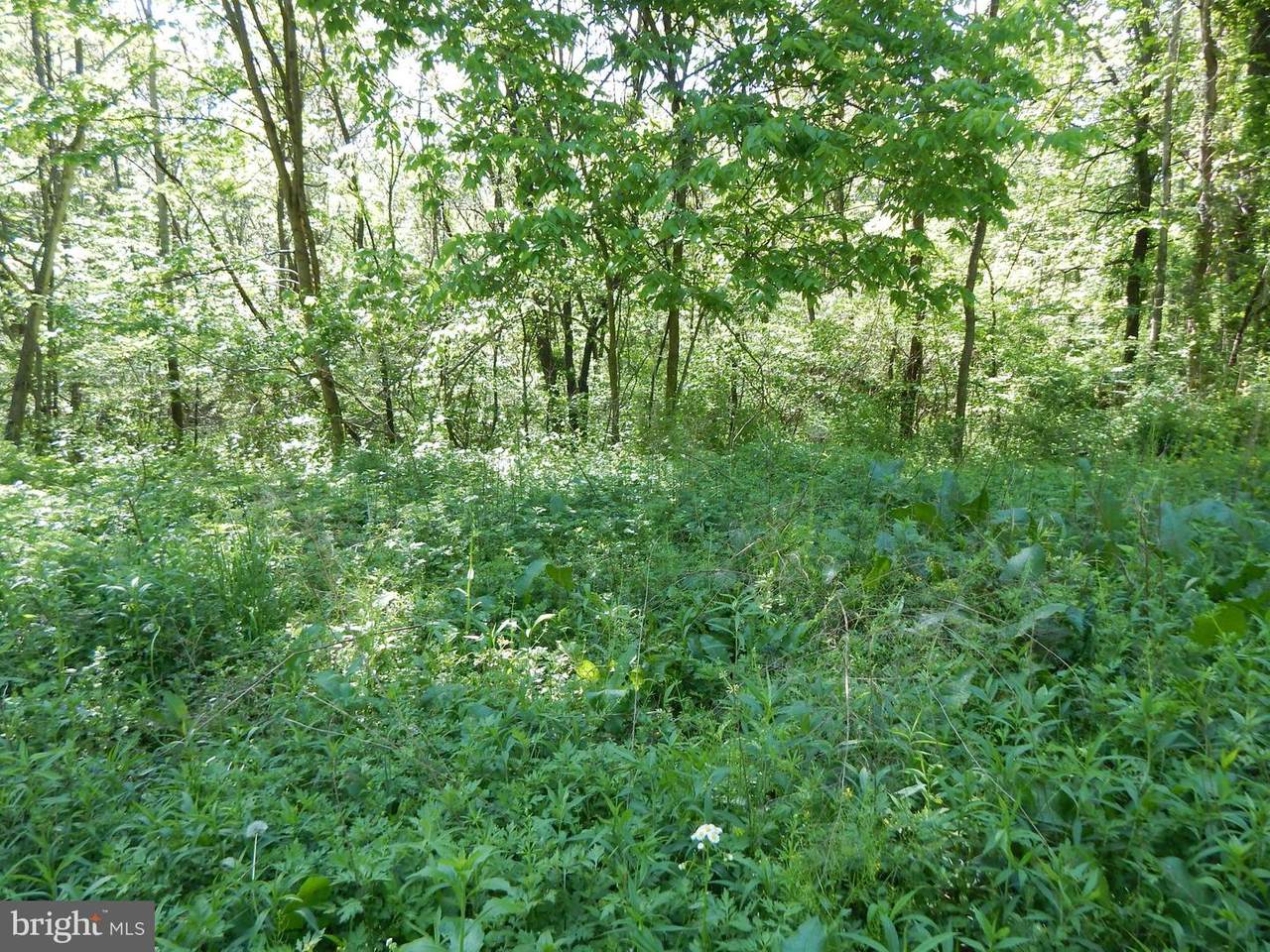 Raging River Road - Photo 1