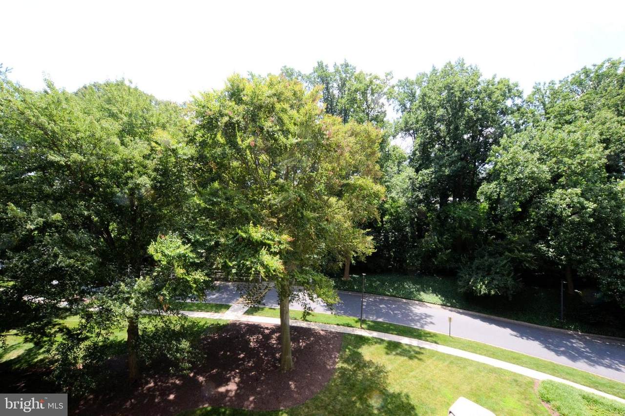 5225 Pooks Hill Road - Photo 1