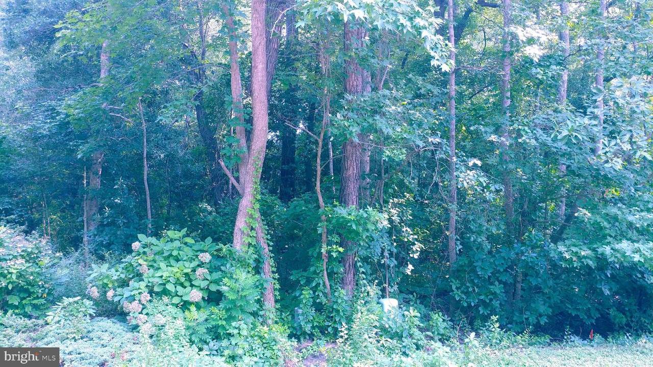 8 Laurel Trail - Photo 1