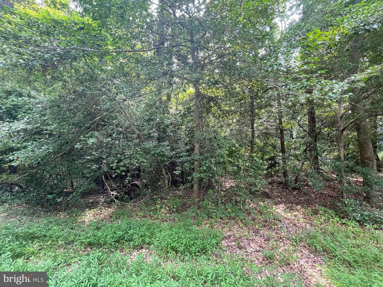 23462 Kingston Creek Road - Photo 1