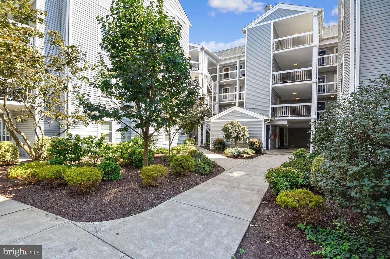 10300 Appalachian Circle - Photo 1