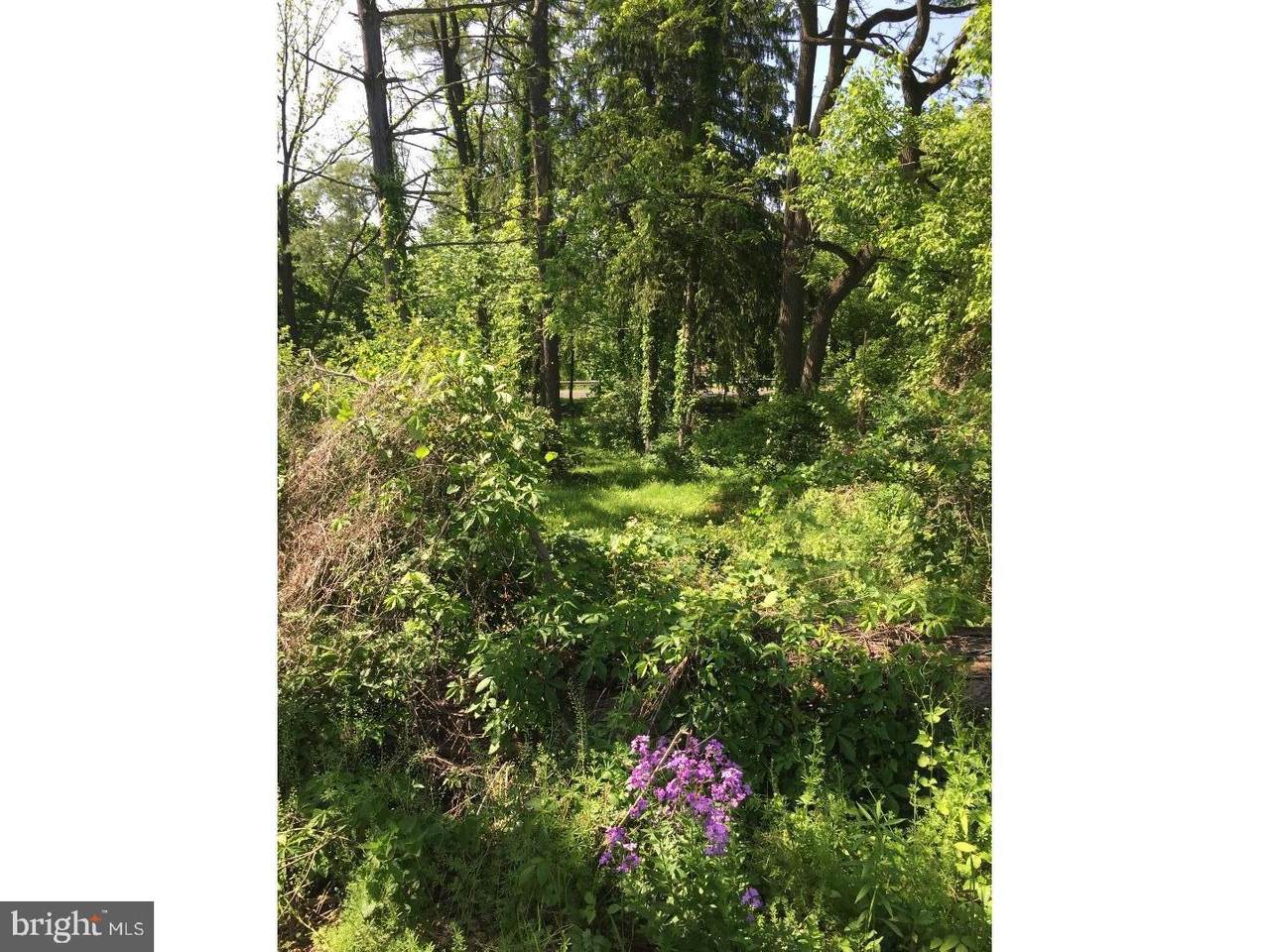 6085 Upper Mountain Road - Photo 1