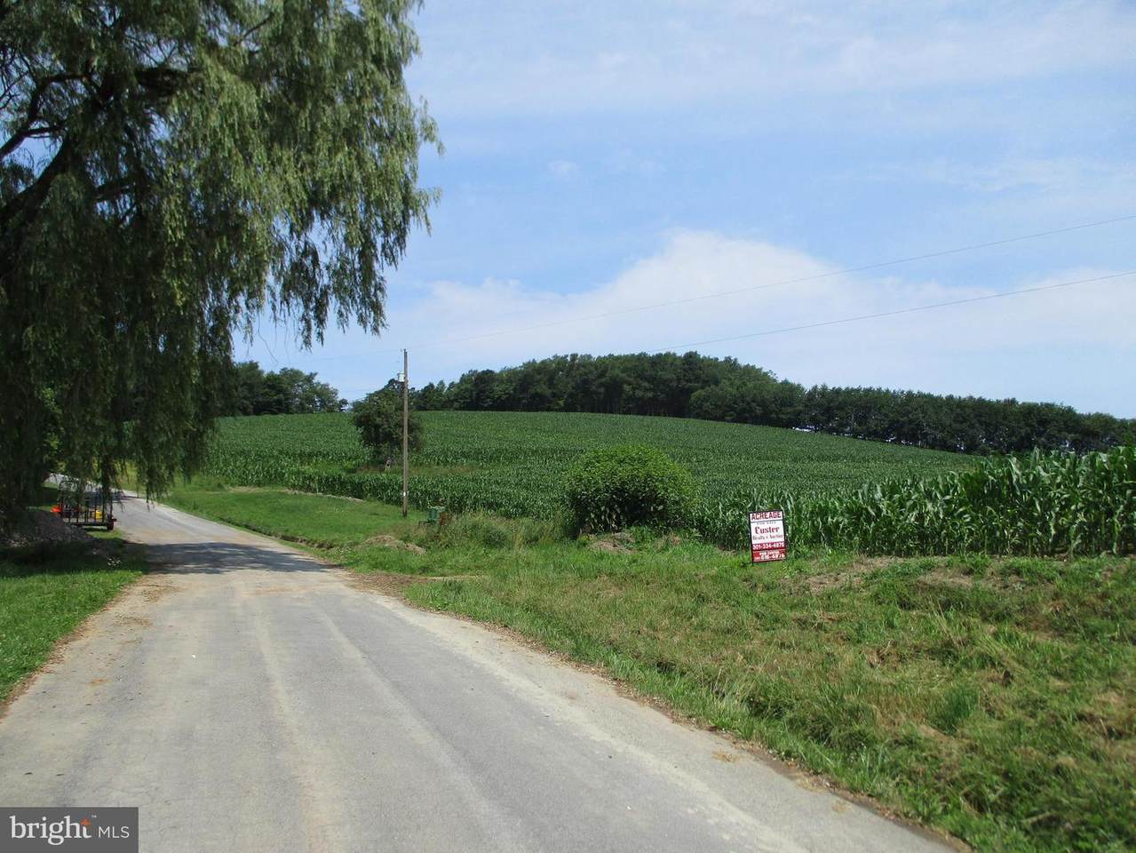 Roth Reynolds Rd - Photo 1