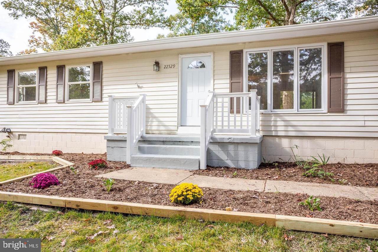 22529 Joan Drive - Photo 1