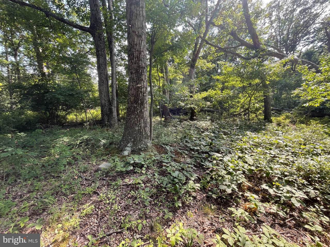 Winona Circle - Photo 1