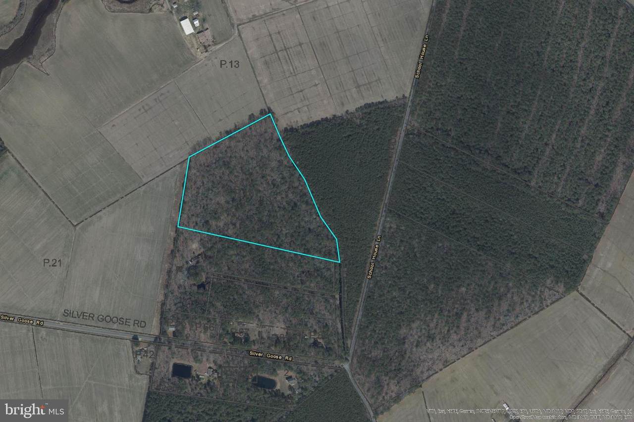 Lot 3 Silver Goose Road - Photo 1