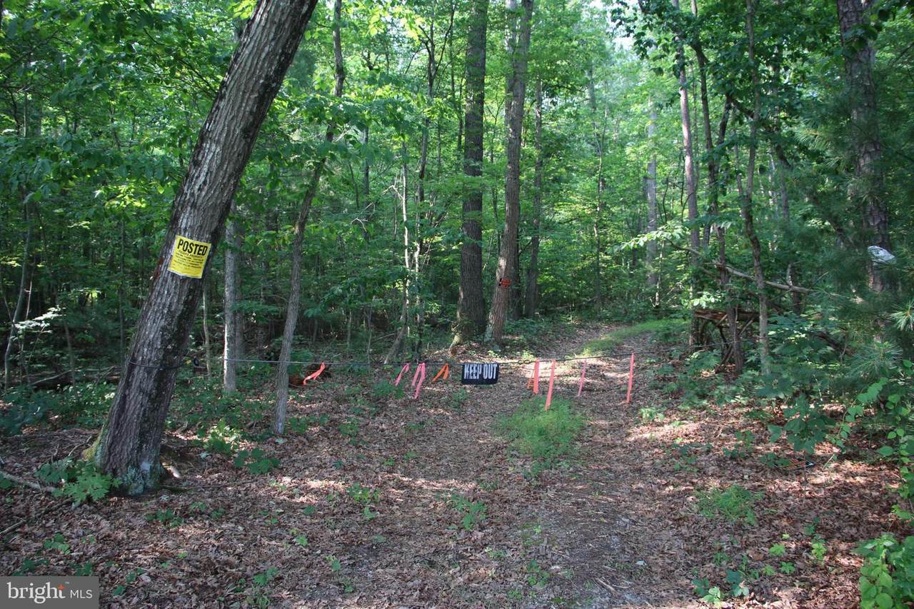 Valley Burg Road - Photo 1