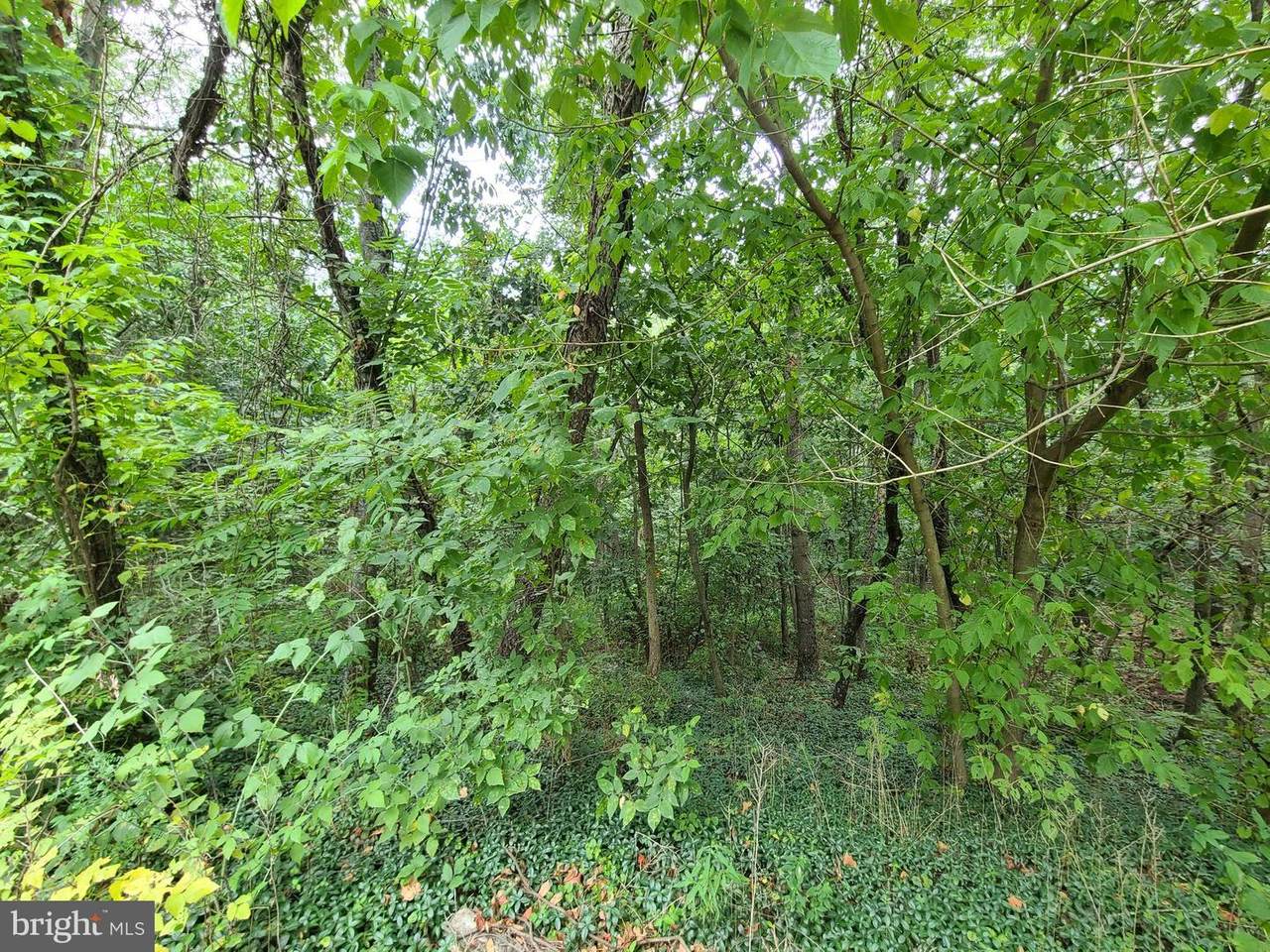 Mahlon Drive - Photo 1