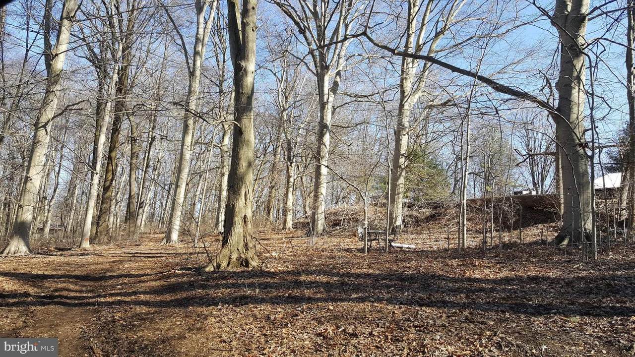 117 Mercer Mill Road - Photo 1