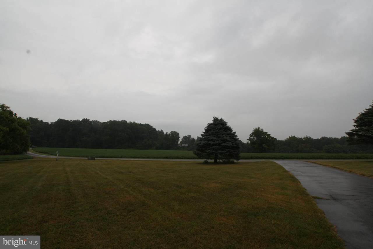21355 Big Woods Road - Photo 1