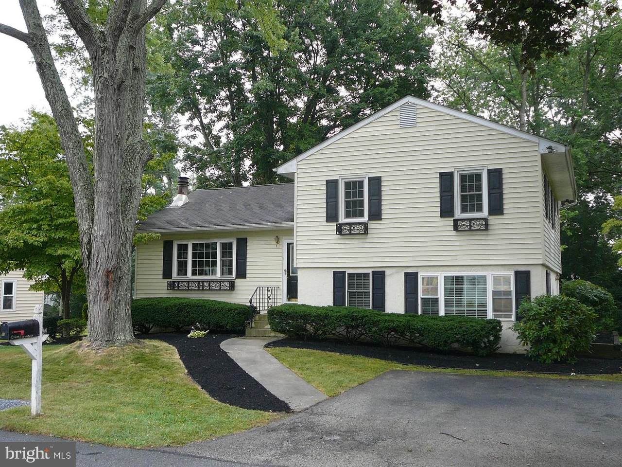 936 Elmwood Avenue - Photo 1