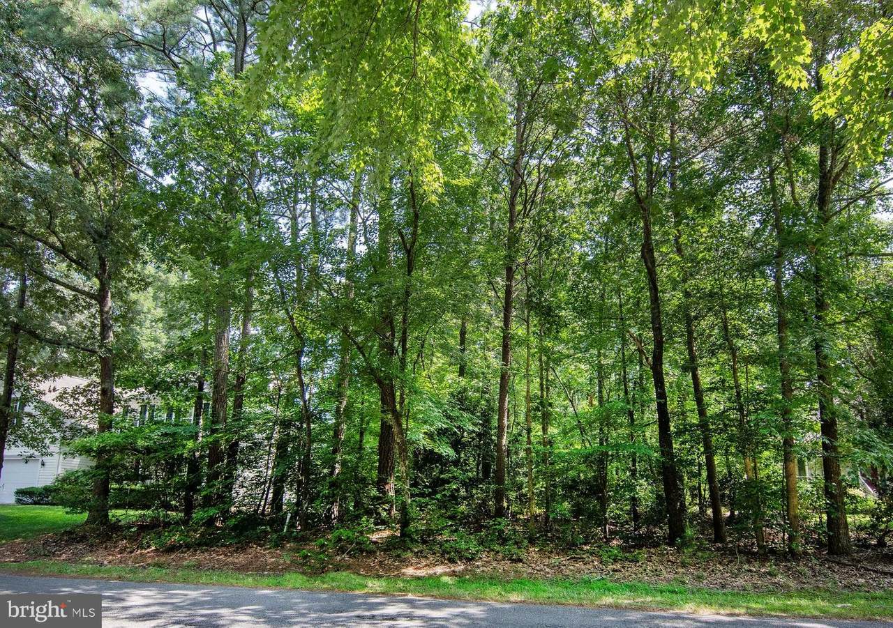 Lot 79 Davy Jones Boulevard - Photo 1