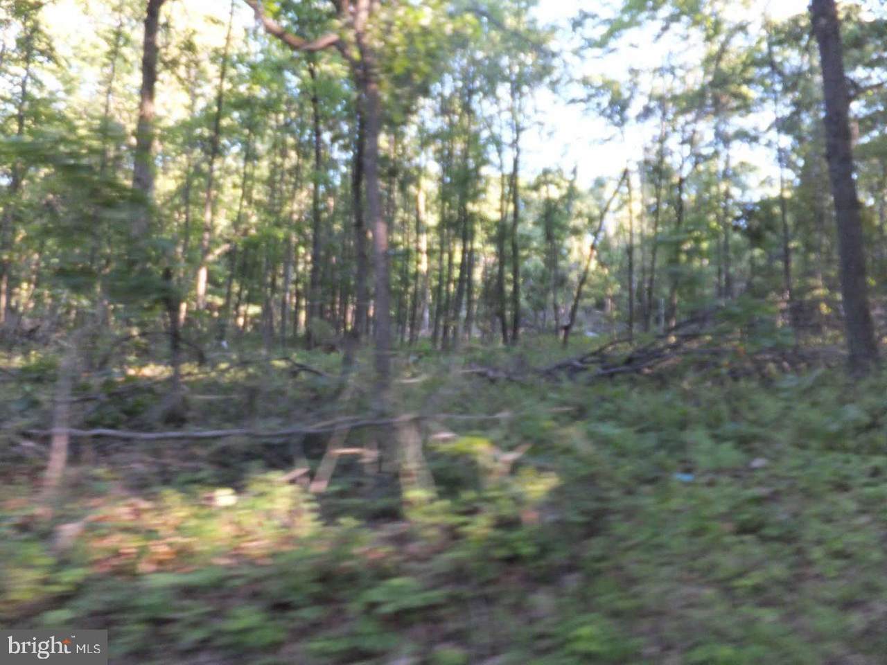 501 Mountainside Road - Photo 1