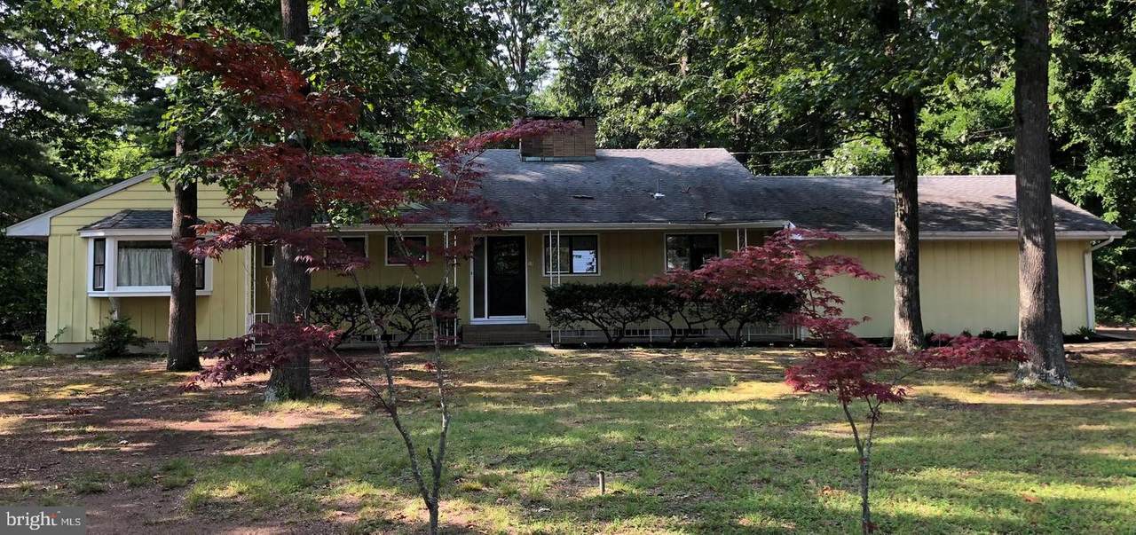 11 Braddock Avenue - Photo 1
