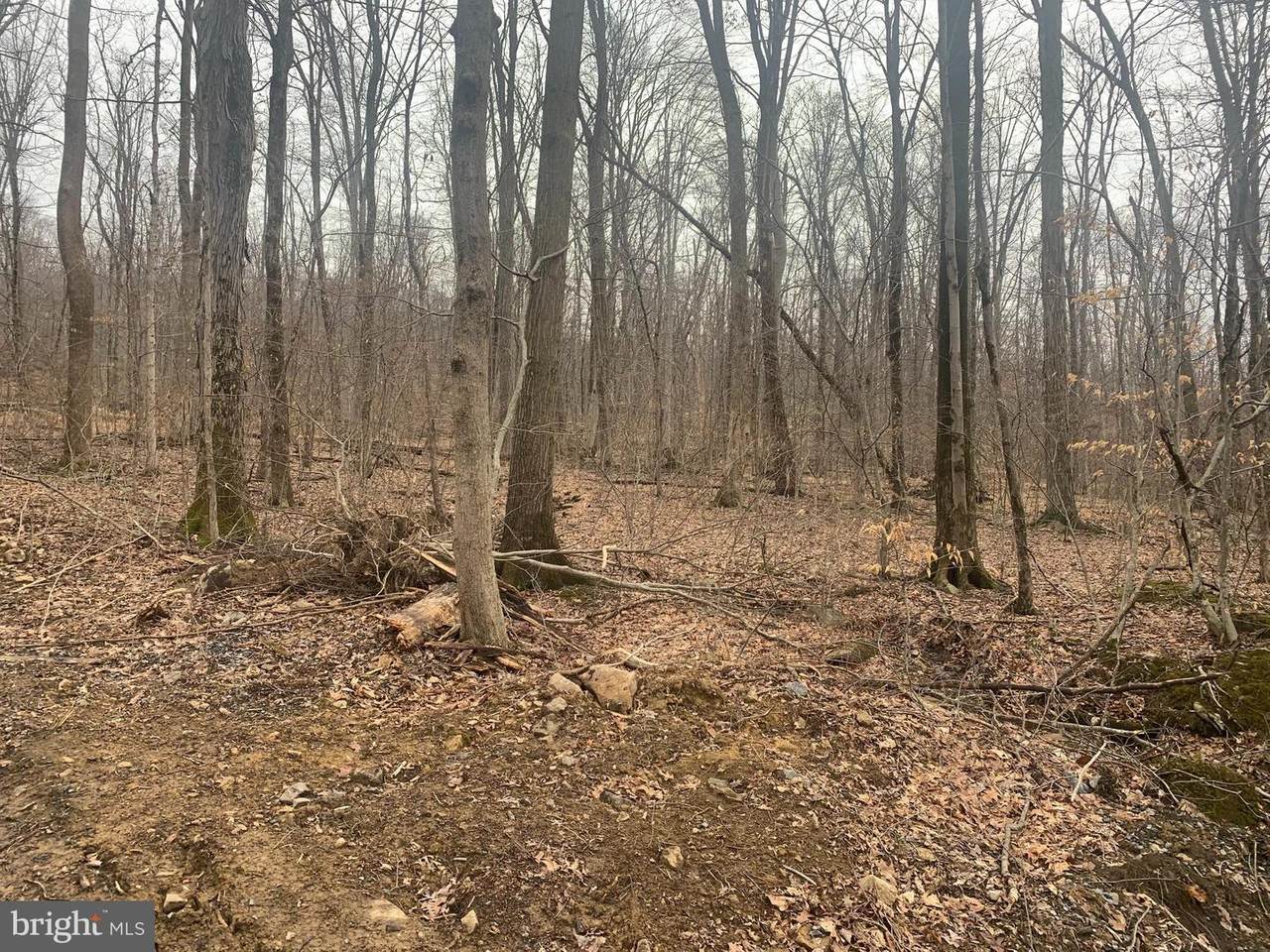 120 Lot B Spruce Street - Photo 1