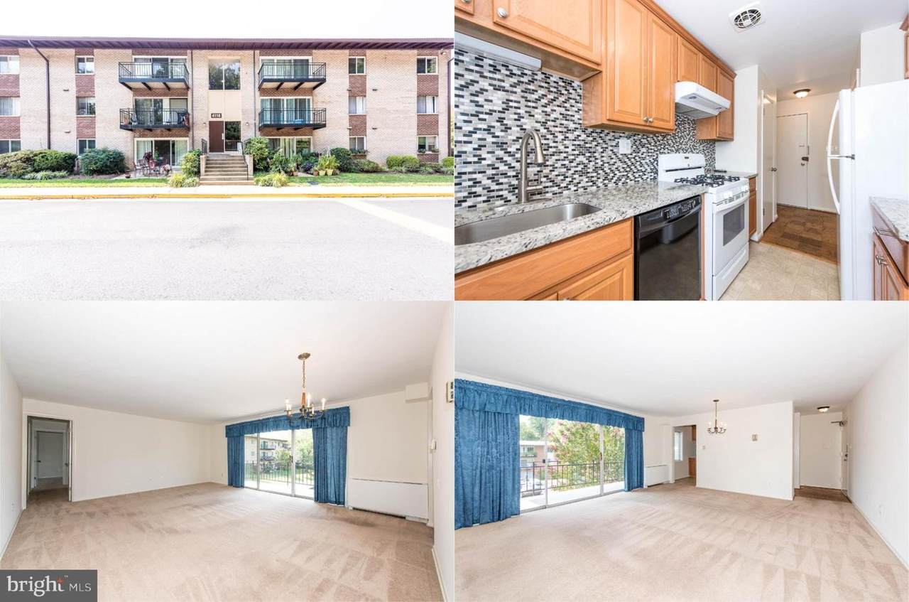 4118 Mangalore Drive - Photo 1