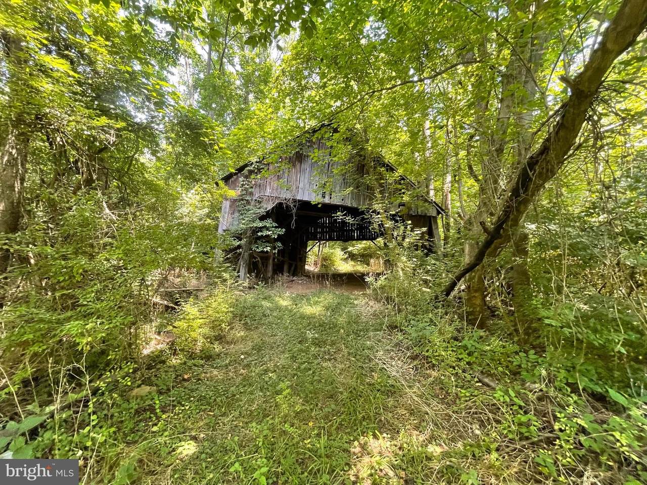 8221 Hollow Road - Photo 1