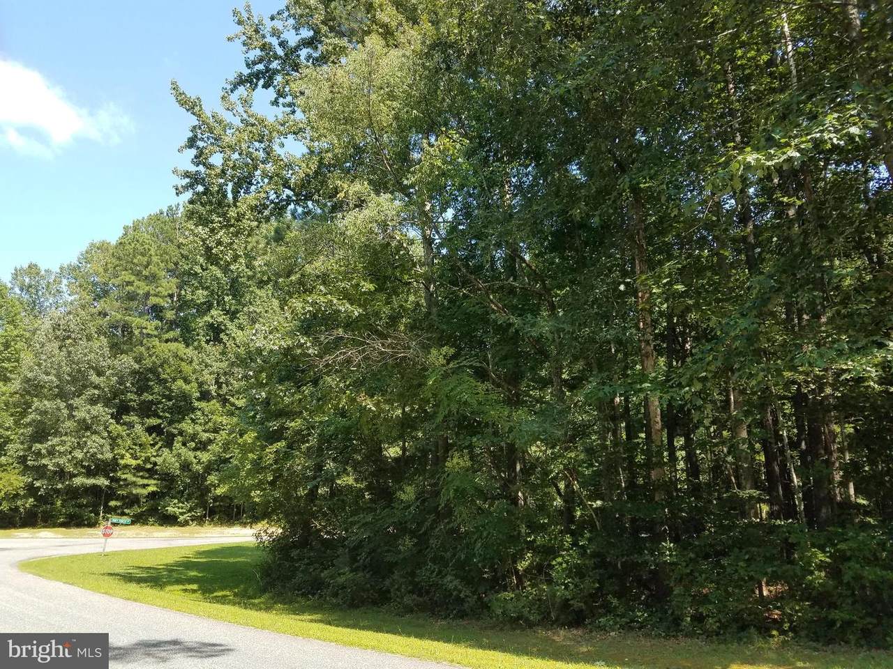11312 Piney Forest Road - Photo 1