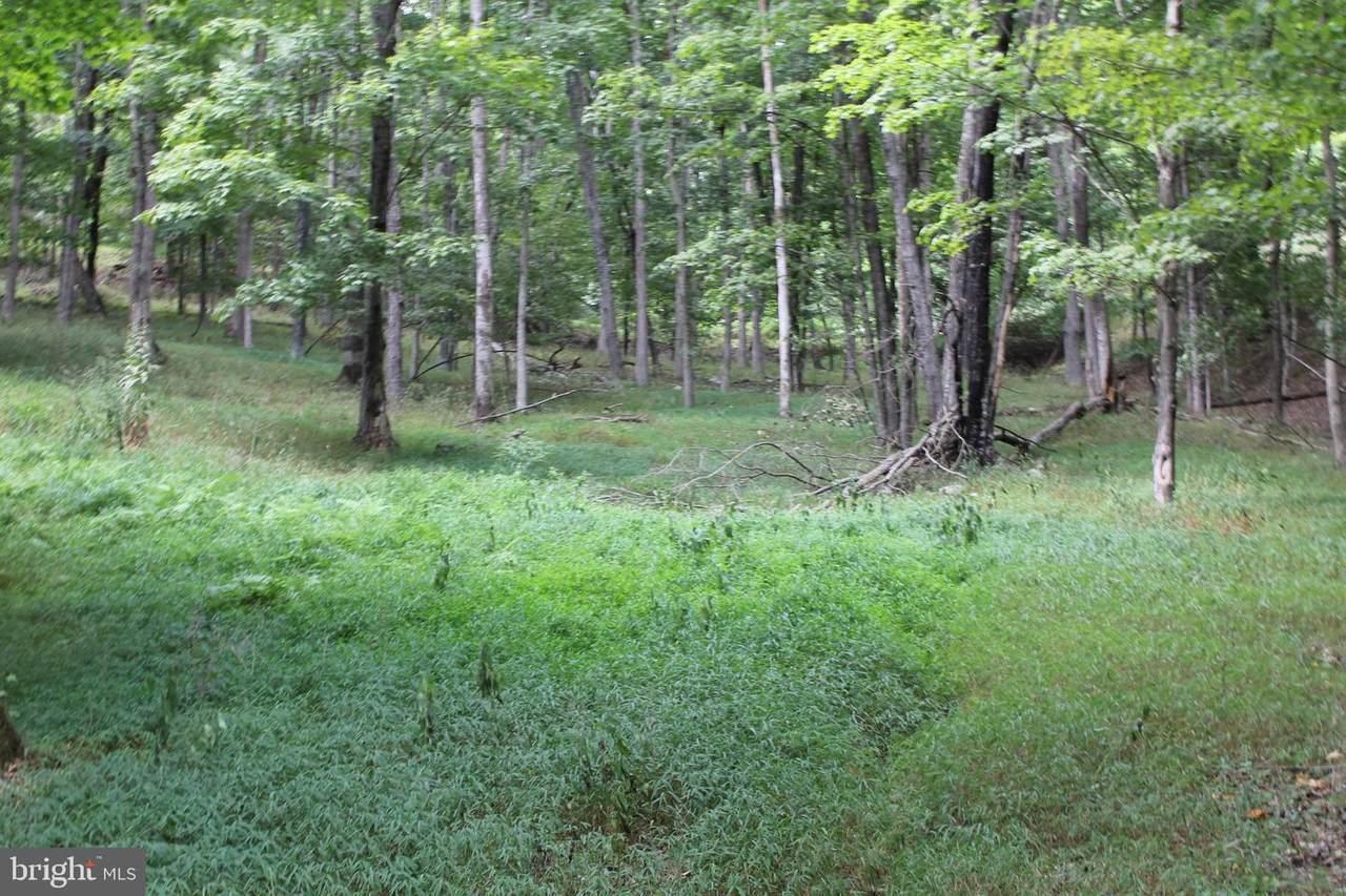 Lot 164 South Branch Mountain Road - Photo 1