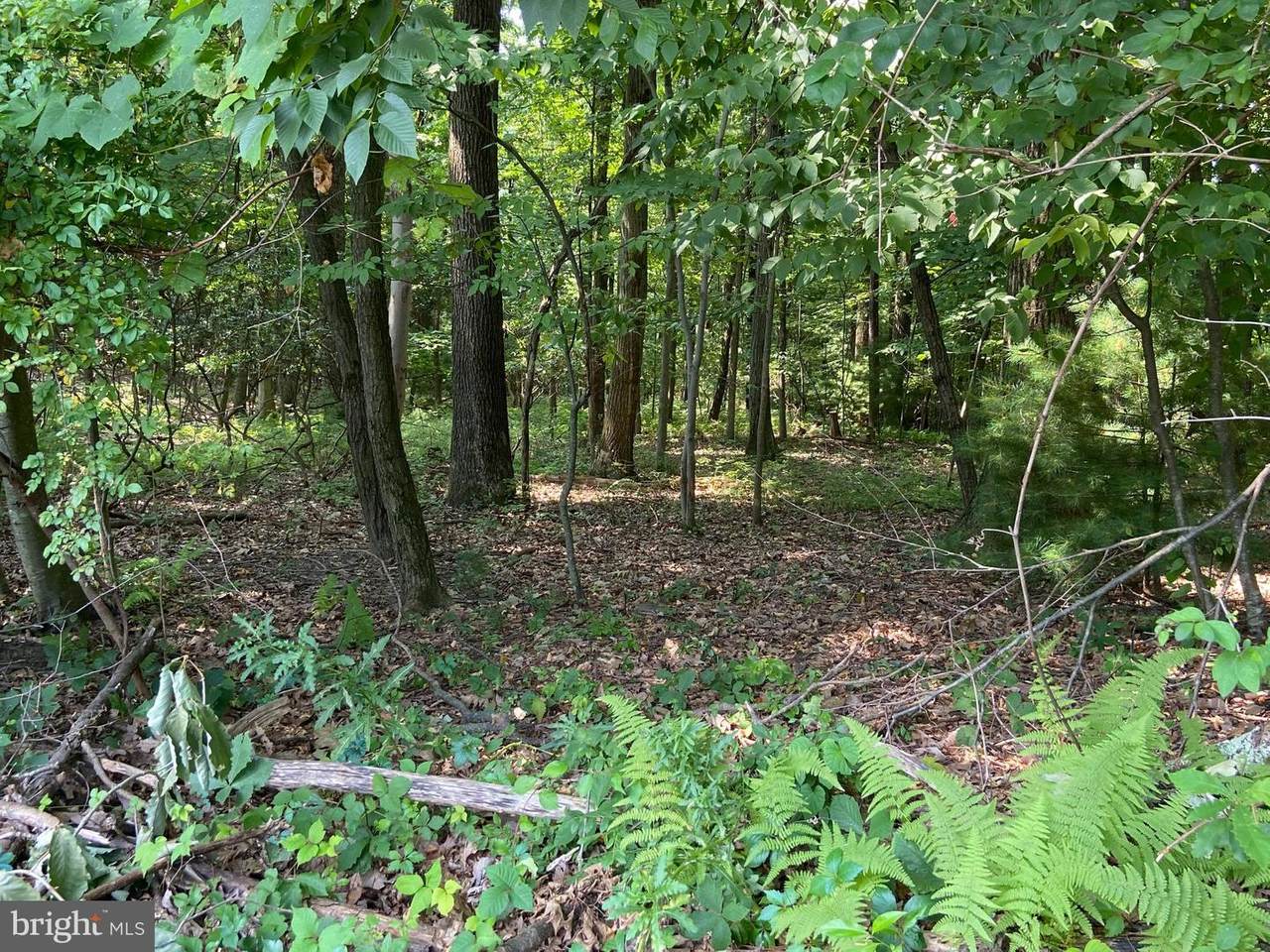 121 Deer Trail Drive - Photo 1