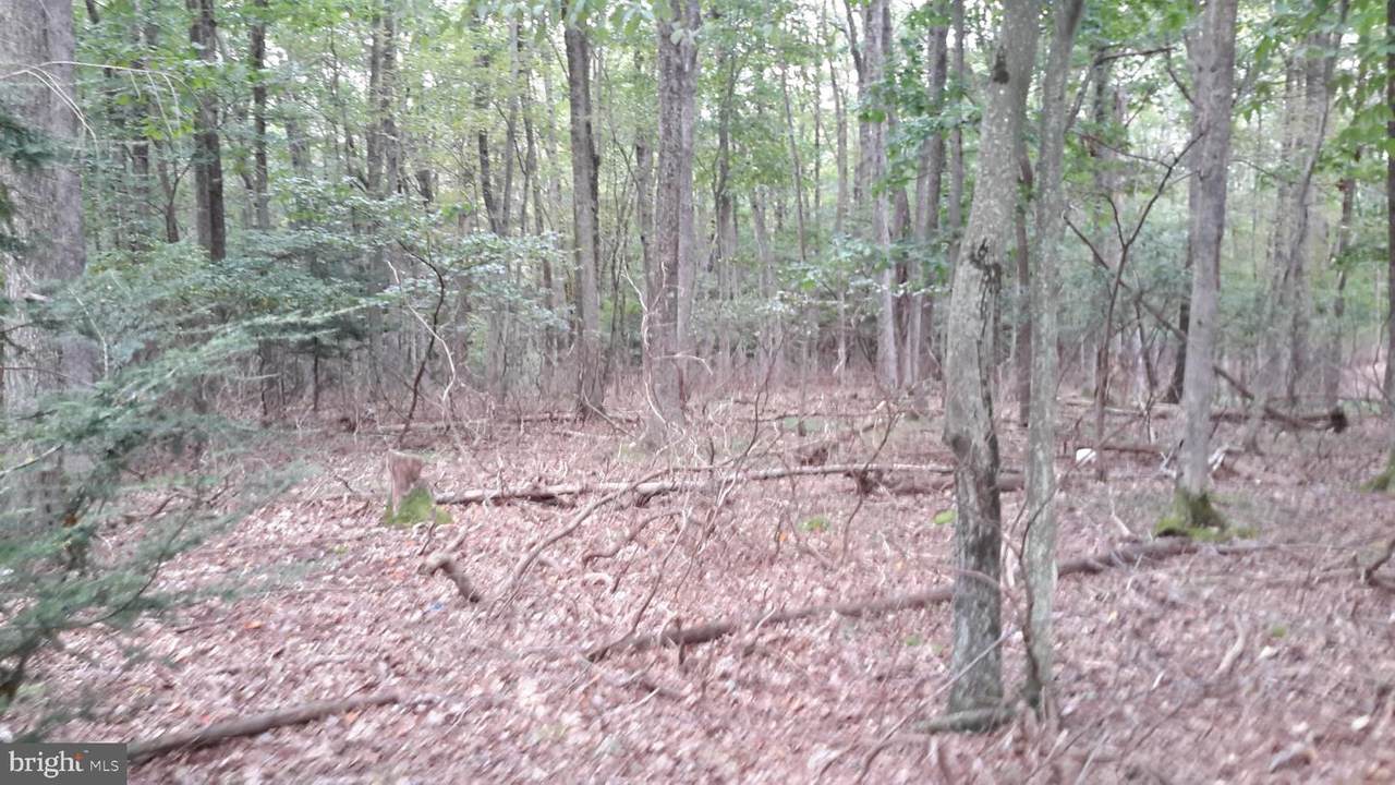 025 Shade Tree Road - Photo 1