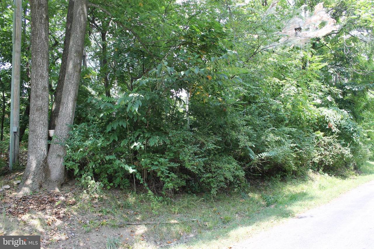 6 Polly Trail - Photo 1