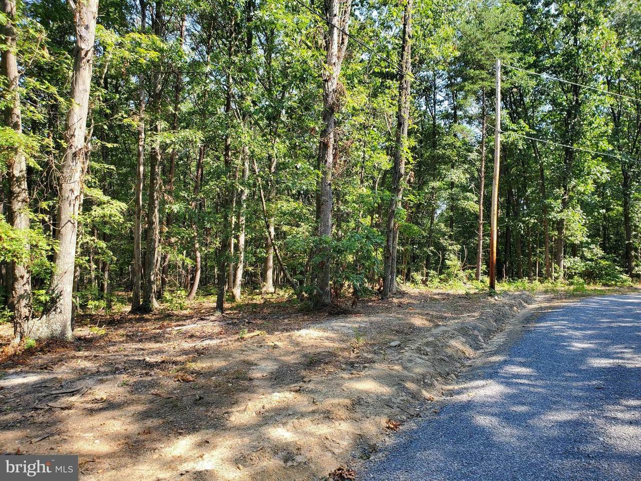 Oak Hill Drive - Photo 1