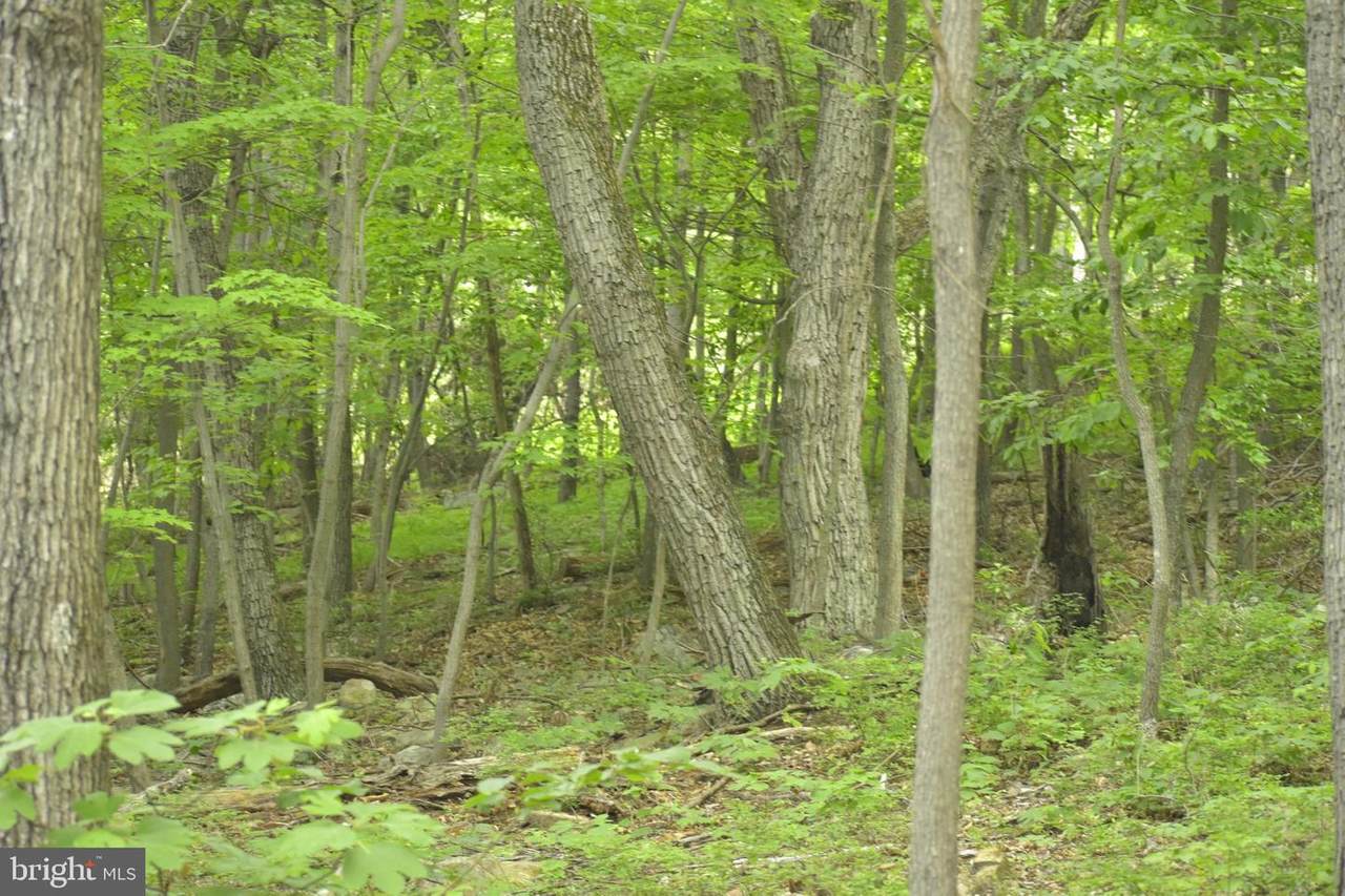 Lot 13a Fox Trl. - Photo 1