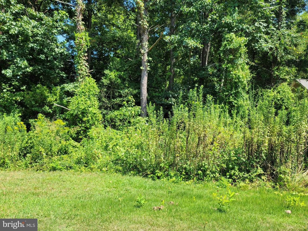 Lot 5 Lakeview - Photo 1