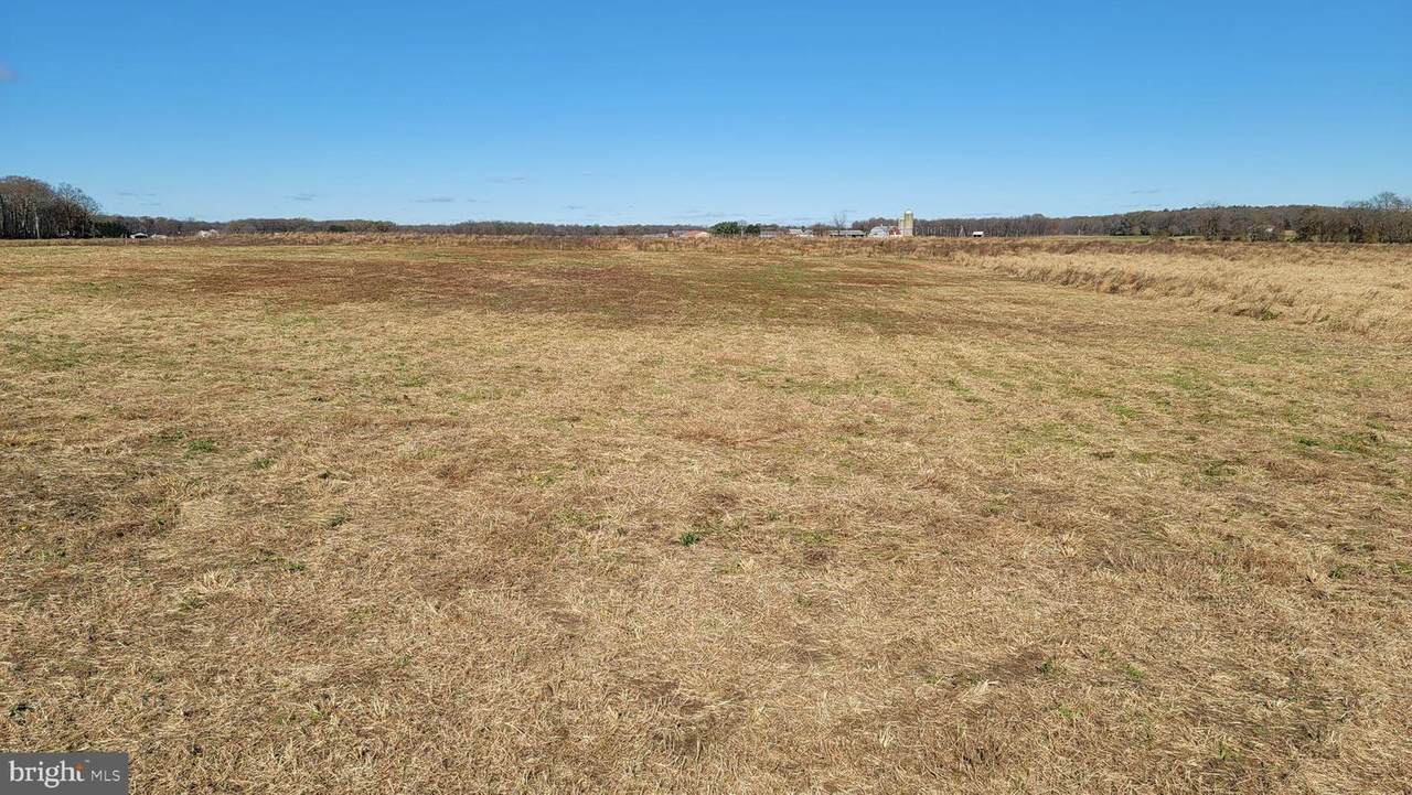 157 Murphy Road - Photo 1