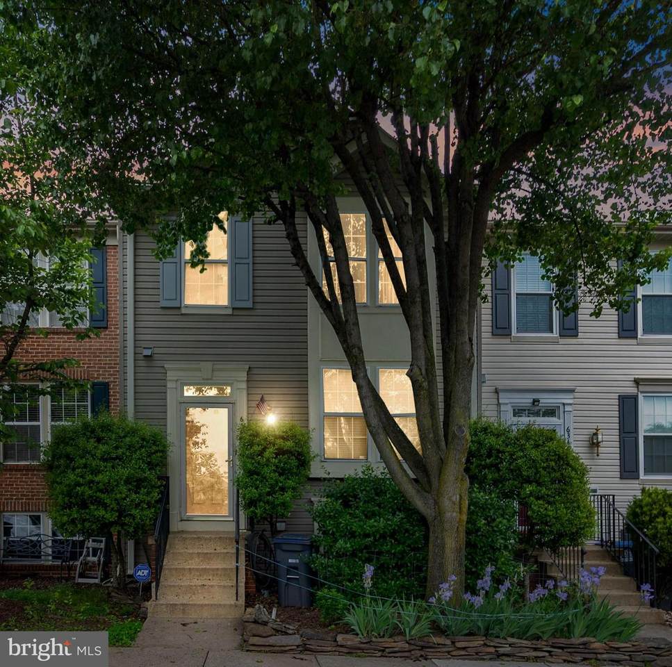 6348 Field Flower Trail - Photo 1
